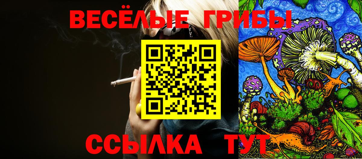 Владикавказ  Галлюциногенные грибы мицелий  Вход с VPN 