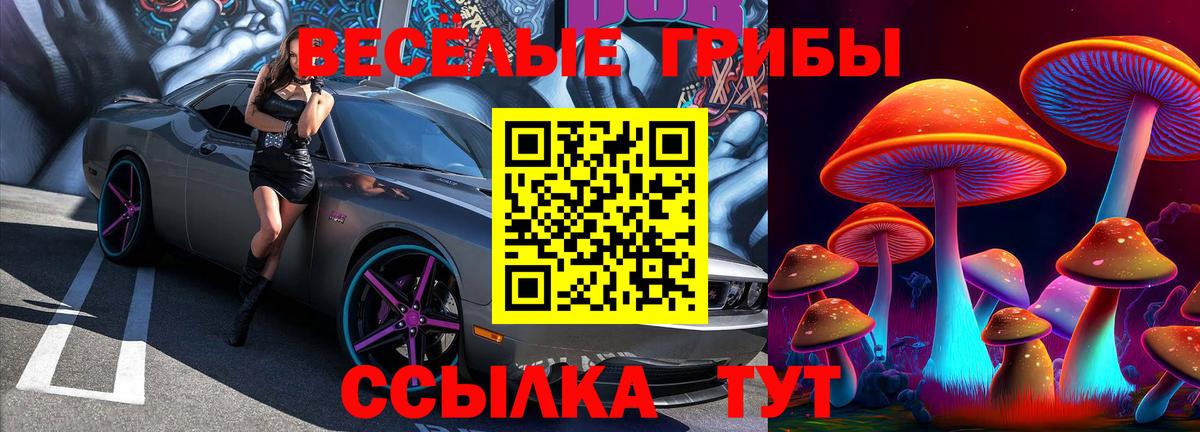 Псилоцибиновые грибы мухоморы Владикавказ